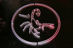 Prezenter-grawerowany-podswietlany-z-plexi-logo-podswietlane-29